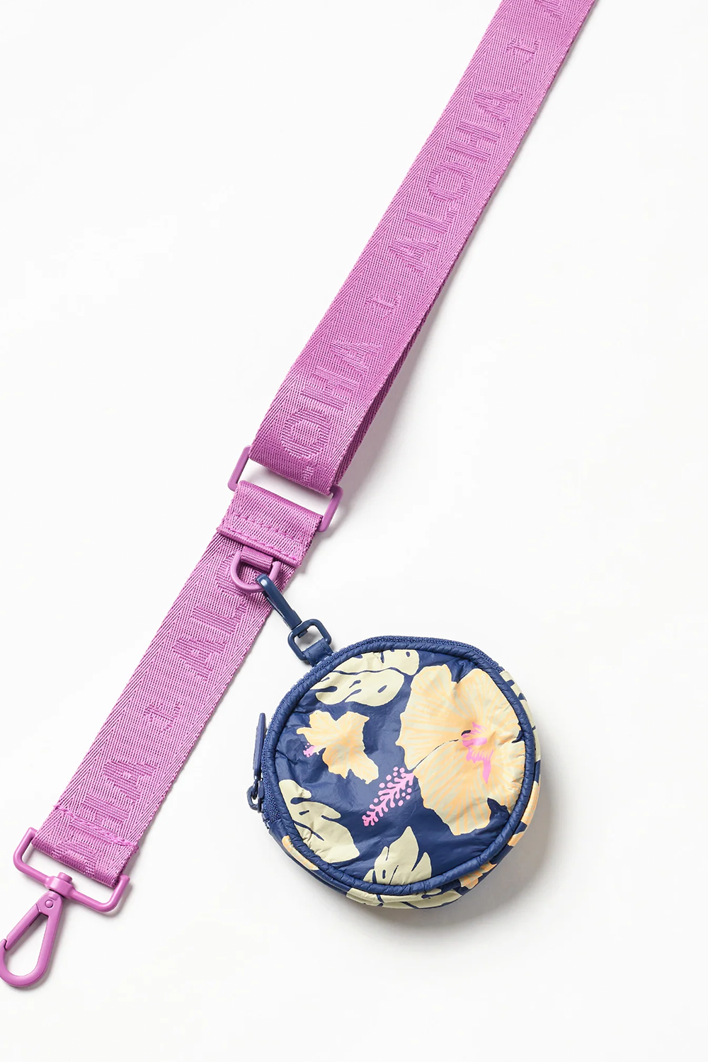Strap Orchid