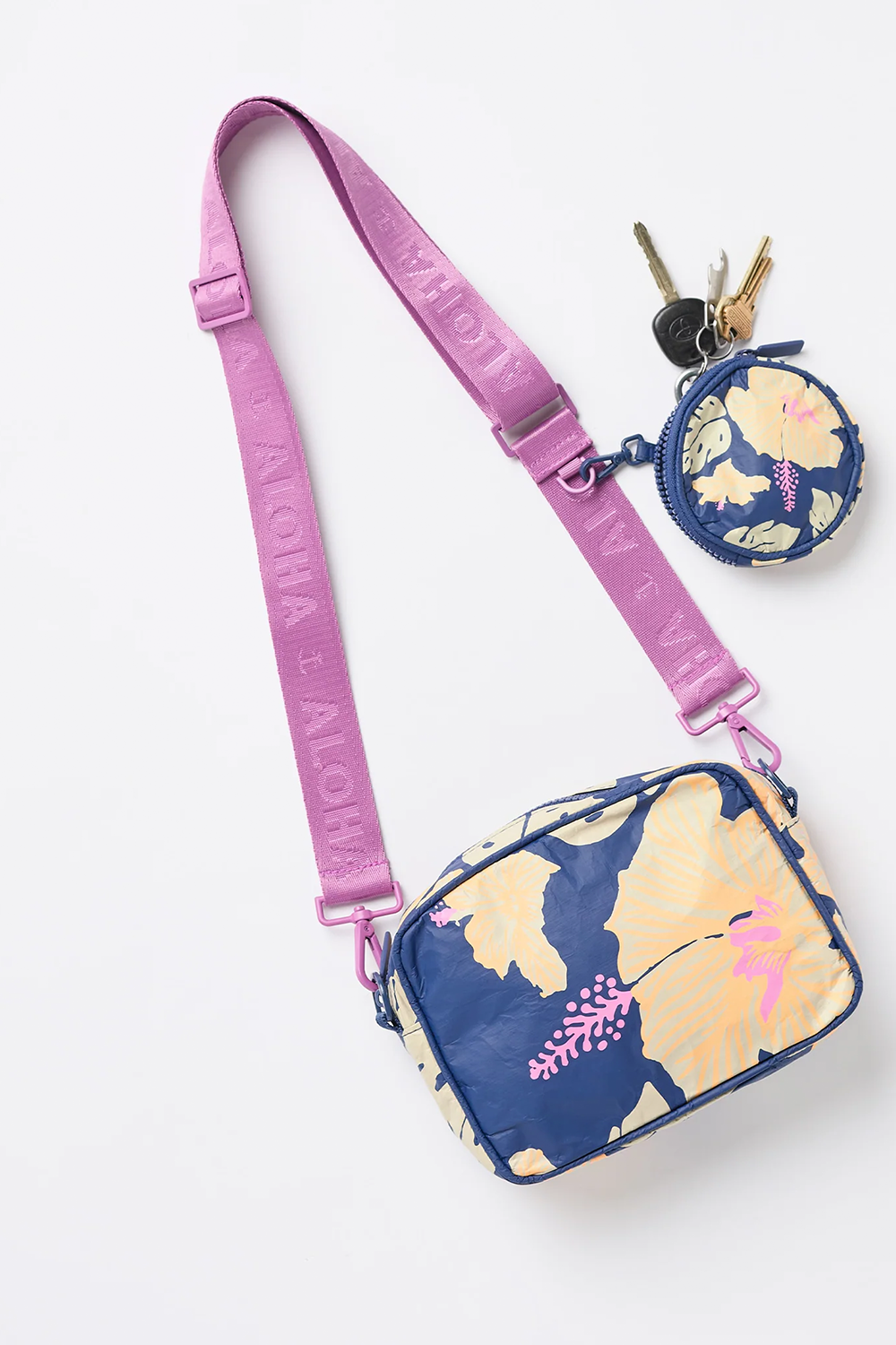 Strap Orchid