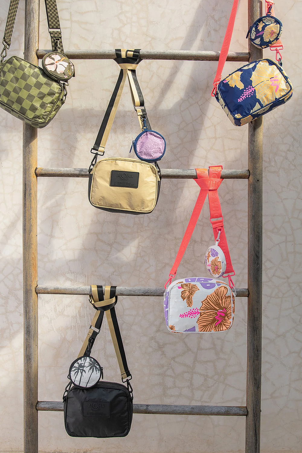 Strap Orchid