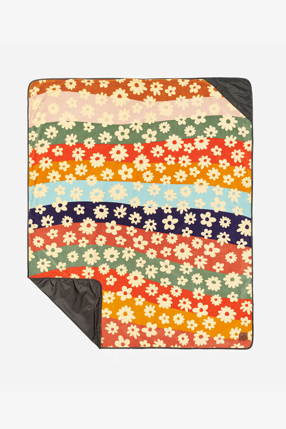 Camp Blanket Joplin